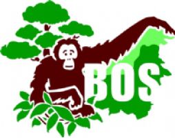 The Borneo Orangutan Survival Foundation logo
